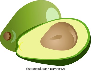 Green avacado. Color image of food. Vector illustration isolated on white background.