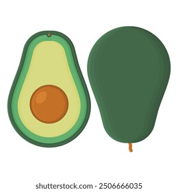 Green Avocado Cut in Half Vector. Healthy Natural Avocado. Delicious Ripe Avocado.