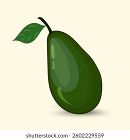 Green avocado fresh fruit concept. and Products for healthy diet. Vector flat illustration on isolated light background.