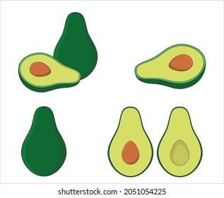 Green avocado fruit isolated vector