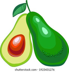 Green avocado and half with bone. Colored vector graphics. Ripe fruit. 
