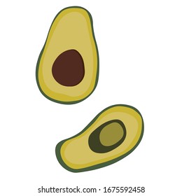 Green avocado. Healthy cooking. Whole vegetable. Natural healthy food. Vitamin icon vector. Fresh avocado half pattern. Vector drawing. Delicious avocado fresh fruit background. White background