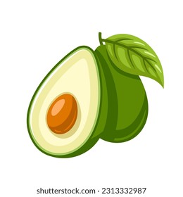 Green avocado icon isolated on white background. Vector illustration