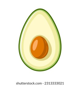 Green avocado icon isolated on white background. Vector illustration