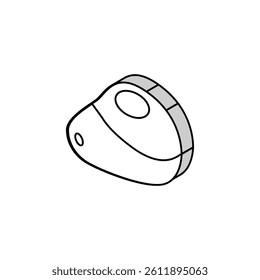 green avocado isometric icon vector. green avocado sign. isolated symbol illustration
