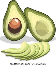 Green avocado with pit, halved and sliced, vector image isolated on white background