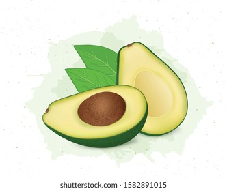 Green avocado  vector illustration with green leaves