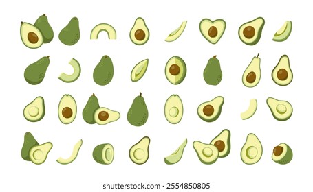 Green avocado whole and halves vector collection. Hand drawn cartoon fruit illustration.