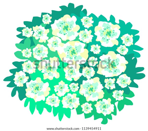 Green Azalea Spherical Bush Vector Graphics Stock Vector Royalty Free 1139454911,How To Cook Carrots For Baby Led Weaning