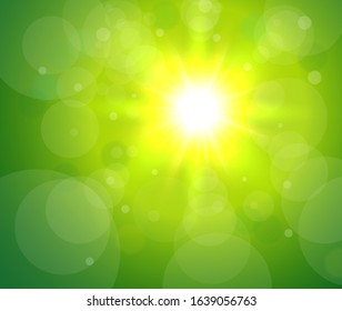 Green bacground with glaring sun, vector sunny illustration.