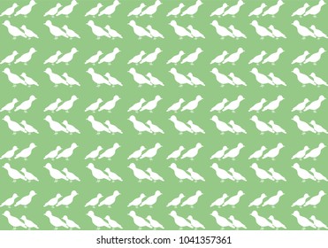 Green backdrop with a pattern of white bird silhouettes