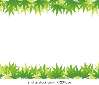 green background