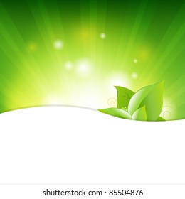 Fondo Verde Con Vigas Y Hojas, Ilustración Vectorial
