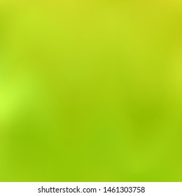Green background is beautiful, bright and stylish. Different trendy colors are mixed up in green background . Can be used as print, poster, background, backdrop, template, card