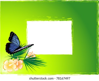 Green background with the blue butterfly