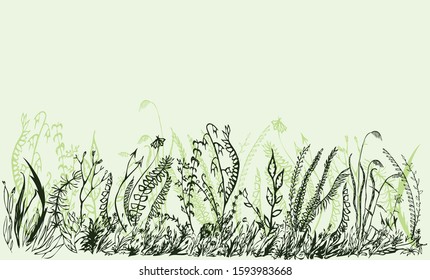 Green background with border from drawn grass and wildflowers