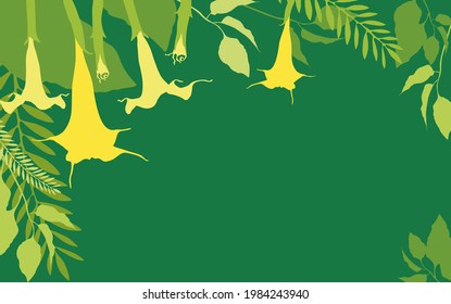 Green background with brugmansia flowers and acacia leaves. Vector illustration with place for text. EPS 10.