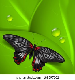 Green background with butterfly and dew. EPS10 vector.