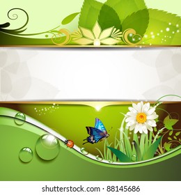 Green background with daisy and drops of water