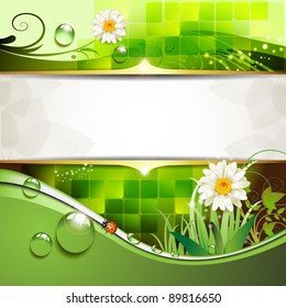 Green background with daisy and drops of water