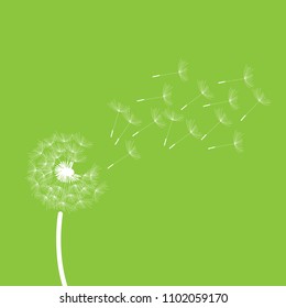 green background, dandelion illustration