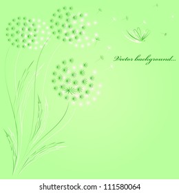 Green background with dandelions. Vector.