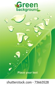 Green background. Drops. (vector illustration)