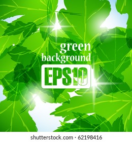 green background, eps10