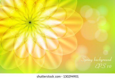 Green background with flower and patches of sunlight, spring-summer theme