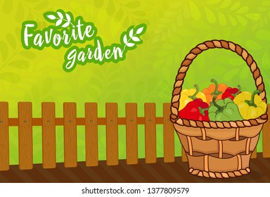 Green background for a garden with a wooden fence and a crop of peppers in a wicker basket. Vector illustration