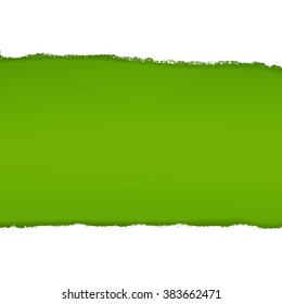 Green Background With Gradient Mesh, Vector Illustration