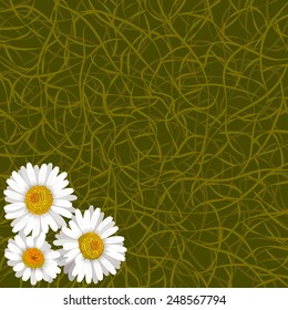 Green background from grass and flowers of camomile in corner