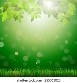 Green background with grass, leafs, bokeh and sunshine - vector illustration