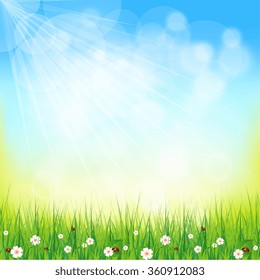 Green Background With Green Grass And Sunburst, Vector Illustration