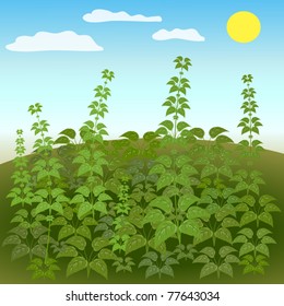Green background with grass/Nature/Foliage
