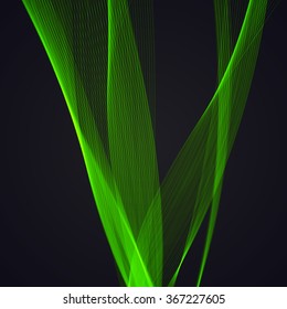 The green background of intersecting curves.