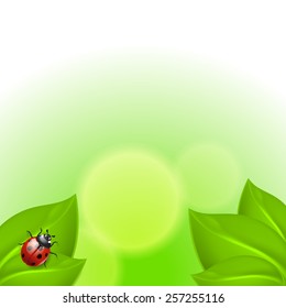 Green background with ladybird. With place for text. EPS10 vector.