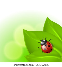 Green background with ladybird. With place for text. EPS10 vector.