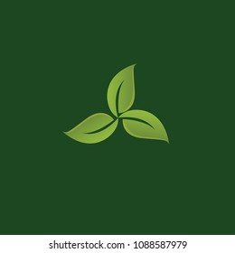 Green Background Leaf icon.Vector