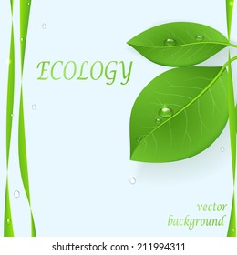 The green background with leaves