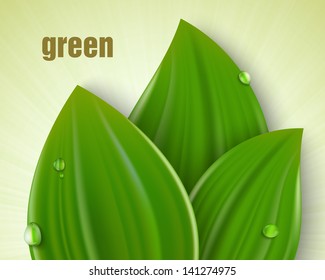green background with leaves and grass