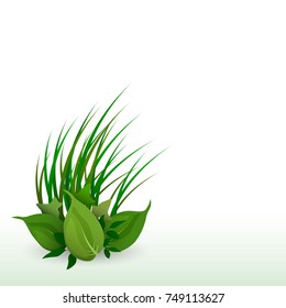 green background leaves with grass nature eco style beauty