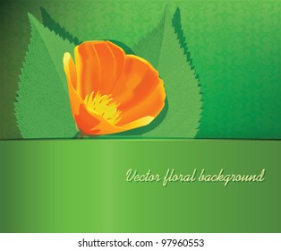 Green background with leaves and poppy, Place for your text