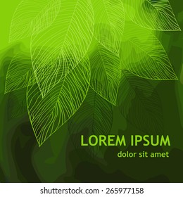 Green background with leaves of a tree. Vector