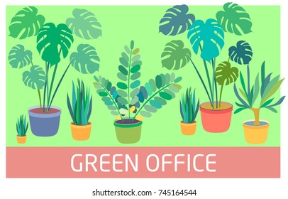 Green background with green office plants. Plants store.