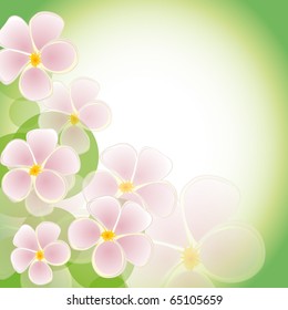 The green background with pink flowers. Vector illustration