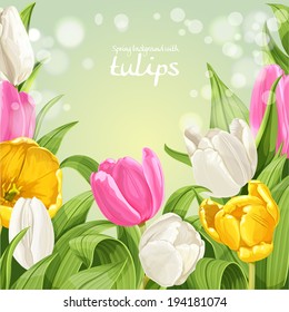 Green background of pink, white and yellow tulips