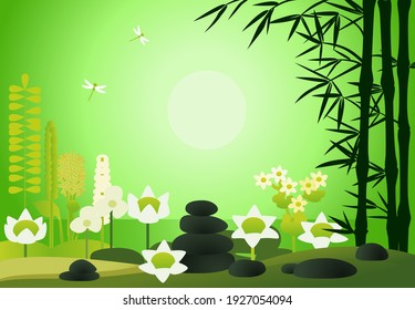 Green background with pond, aquatic flowers and plants, dragonflies, bamboo, massage stones