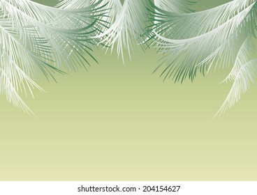 green background with silvery palm leaves and space for text