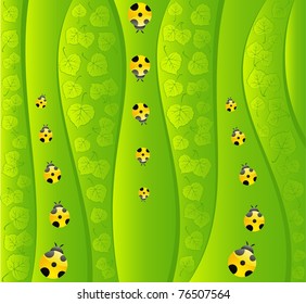 Green background with small ladybug. Vector